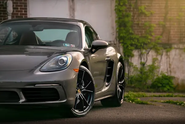 카지노 스핀 퍼그 안드로이드/iOS 앱